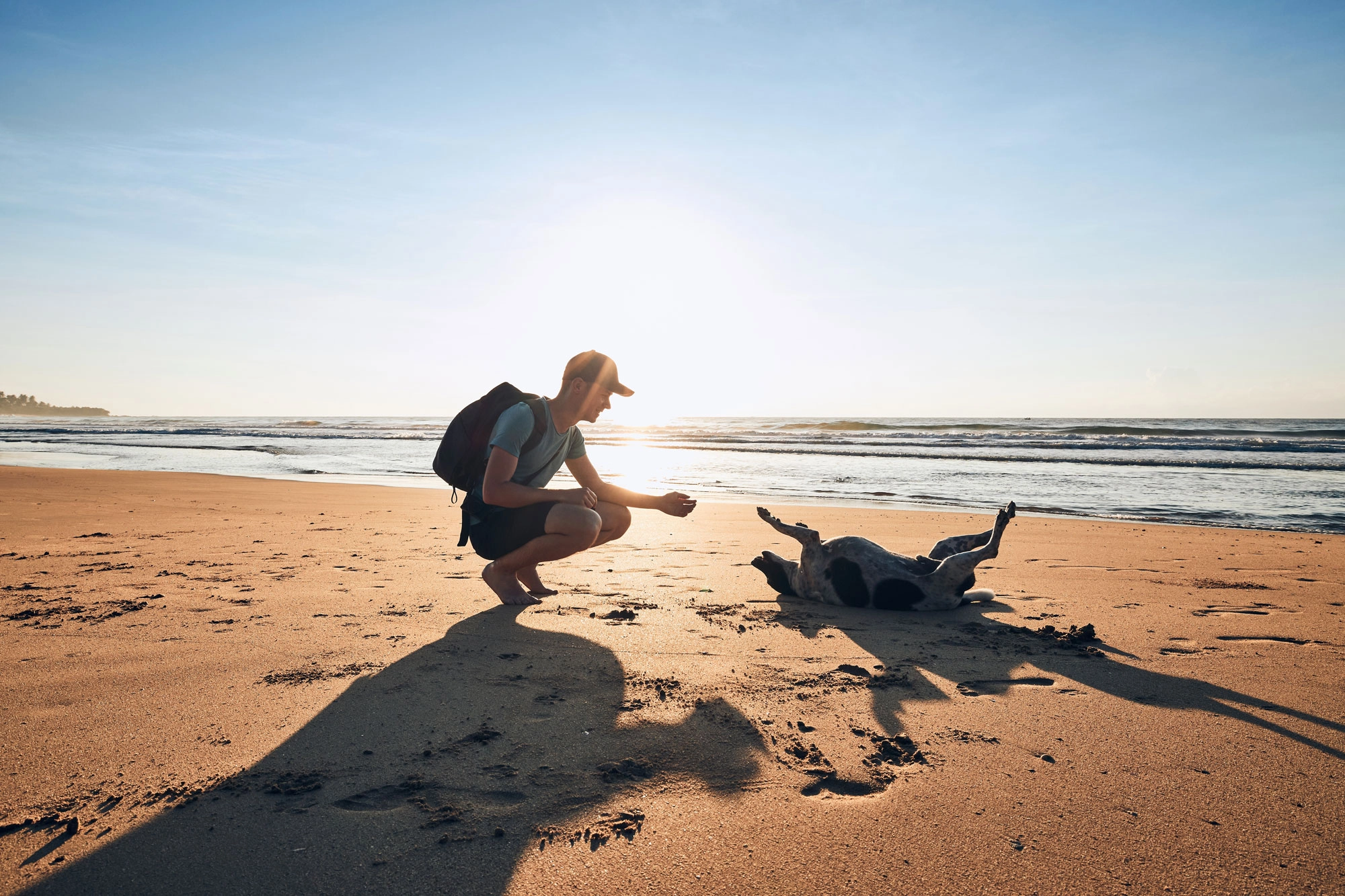 man on sunny beach with dog