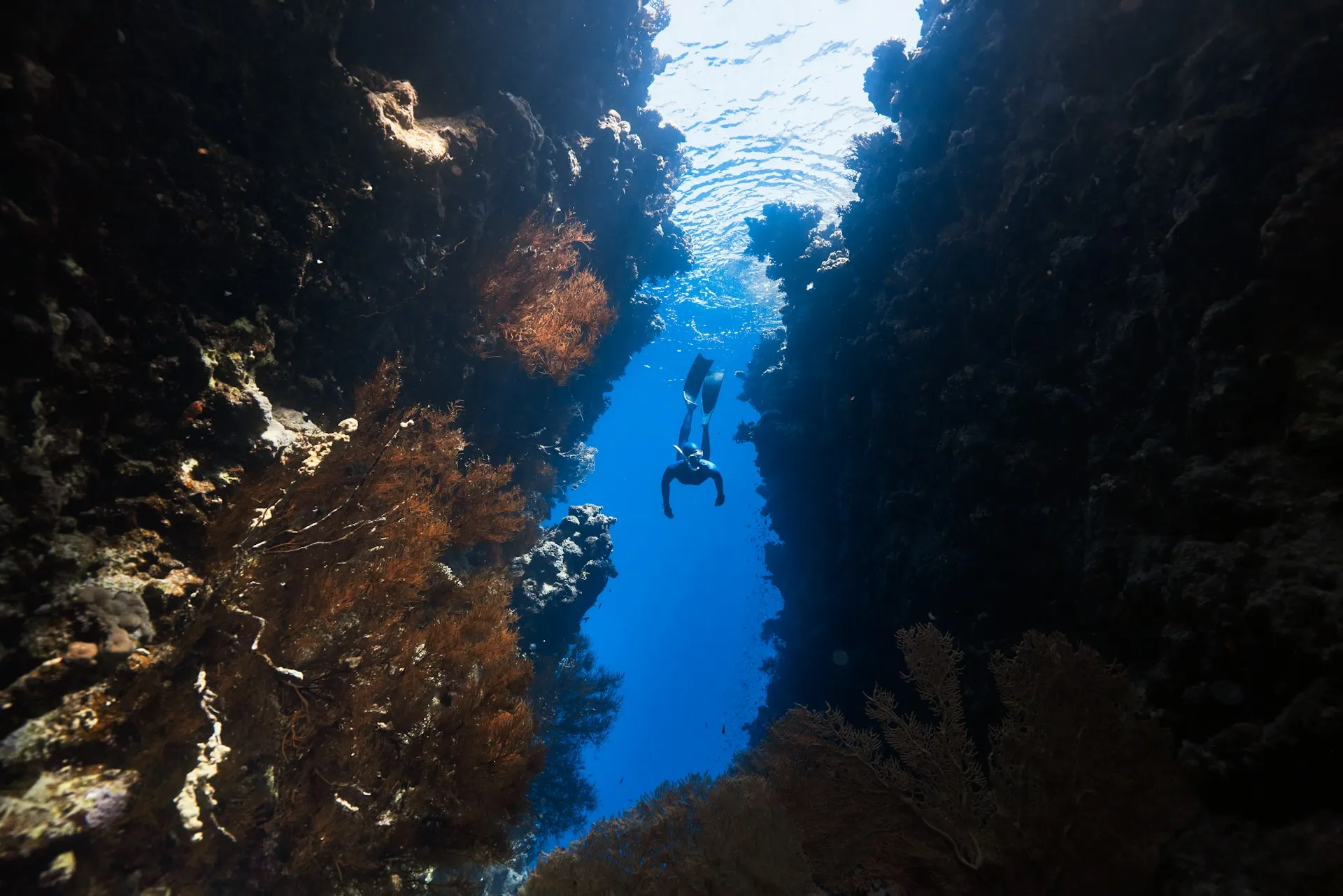 5 of the Best Scuba Diving Holidays in Costa Rica