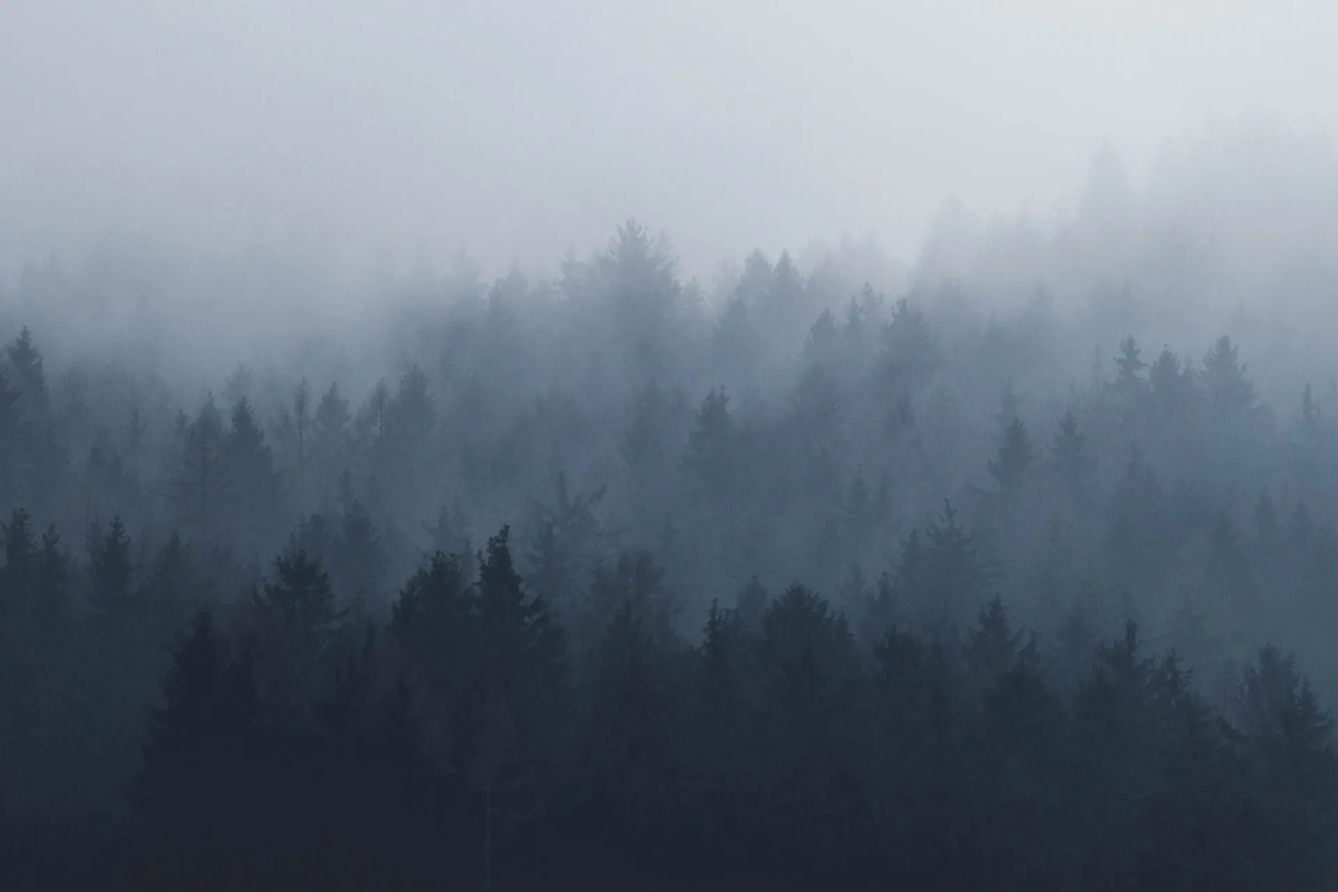 Most Accurate Weather Forecast Sites for your Holiday Weather